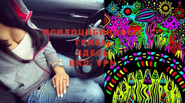 гидропоника Новокубанск