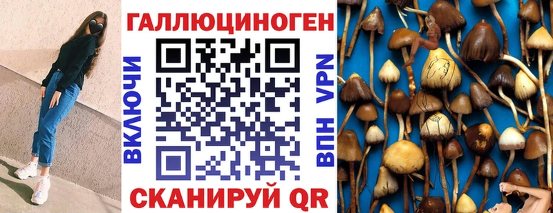 Псилоцибиновые грибы ЛСД Кизилюрт