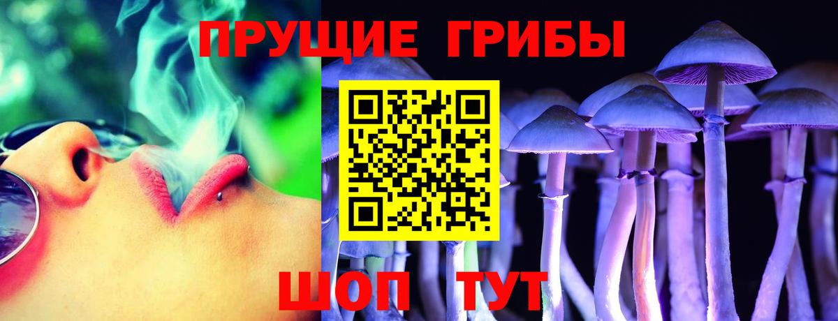 Кизилюрт  Галлюциногенные грибы Magic Shrooms  Вход с VPN 